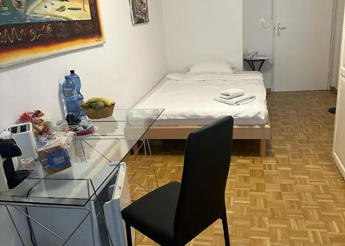 Schoenes Zimmer In Der City Basel
